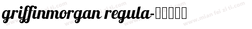 griffinmorgan regula字体转换
